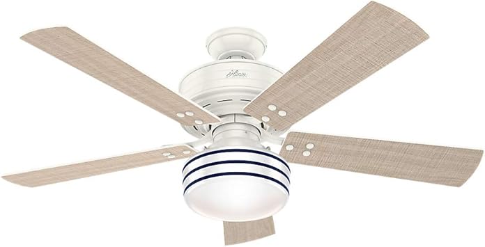 Hunter Indoor Outdoor Ceiling Fan With Light And Remote Control