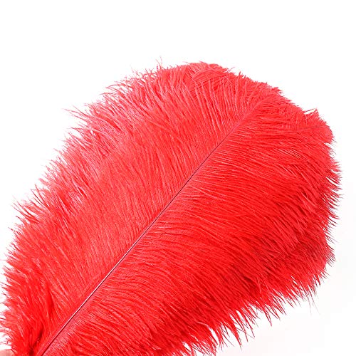 10pcs Natural Ostrich Feathers Plume 16-18inch(40-45cm) for Wedding Centerpieces Home Decoration (16-18IN,Red)