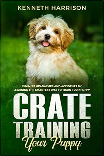 havanese crate training
