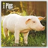 Curtis, Edward S. - Portraits of Native Americans 2016 Square 12x12 (Multilingual Edition) by Browntrout Publishers (2015-07-15) by 