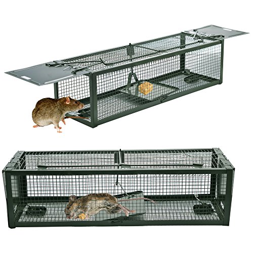 MATATA Live Animal Humane Trap 2-Door Mouse Cage Trap For Chipmunk, Rats, Squirrels, Voles, Rodent and Similar Size Pests(Green)