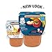 Gerber 3rd Foods Apple Banana with Lil' Bits, 5 Ounce Tubs, 2 Count (Pack of 6)