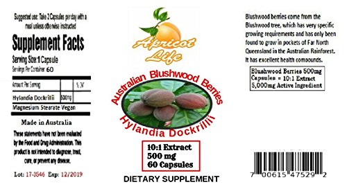 Blushwood Extract 10:1 500 mg 60 Caps Blushwood Extract 10:1 500 mg 60 Caps