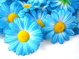 (24) Silk Blue Gerbera Daisy Flower Heads , Gerber Daisies - 1.75
