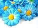 (100) Silk Blue Gerbera Daisy Flower Heads , Gerber Daisies 1.75