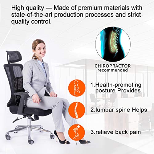 Lumbar Support, Cartop Mesh Back Cushion 2 Pack Lower Back Support, Double Mesh Lumbar Cushion Air Flow Breathable Back Support Cushion - Suitable for Office Chair Home Car (2-Pack)