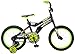 Teenage Mutant Ninja Turtles Boy's Bicycle, Black, 16-Inch