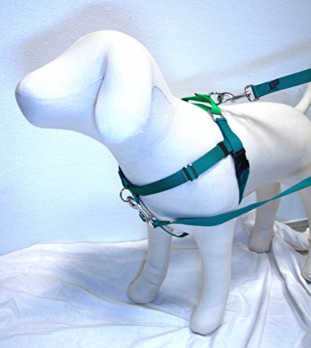 Freedom No-Pull Harness AND 4-Configuration Training Leash Package (1" Wide Medium (23" - 28"), Kelly Green w/ Neon Green)