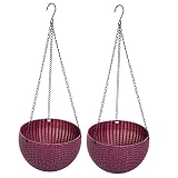 Plastic Resin Chain Basket Hanging Planter Hanging Flowers and Plants,Growers Hanging Planter Decor Pot 2 pcs, with Watering Can