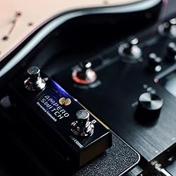 Hotone Dual Footswitch Pedal Momentary 2-Way Pedal