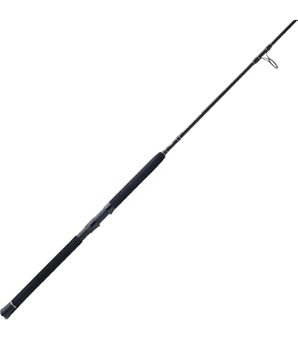 Amazon.com : Penn Squadron II Inshore 6-12 lb Line Rate Light Power Spinning Rod (1 Piece), 7' : Sports & Outdoors