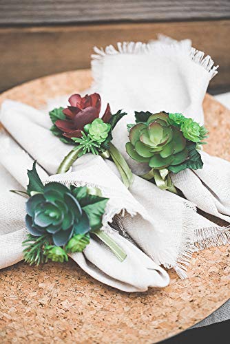Richland Delilah Succulent Napkin Rings Set of 6