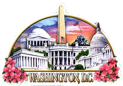 Washington DC Montage Artwood Fridge Magnet