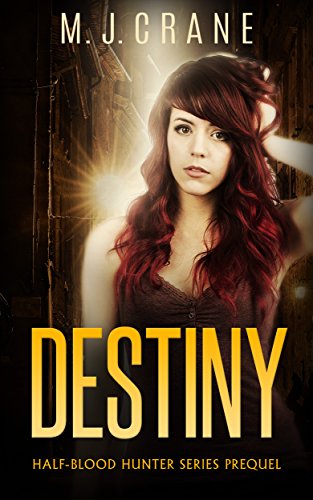 Destiny: Half-Blood Hunter Prequel