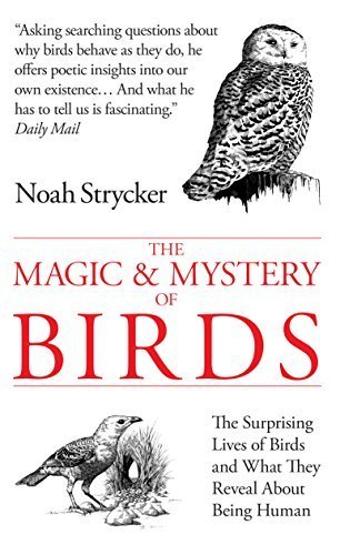 The Magic and Mystery of Birds: The Surprising Lives of Birds and What They Reveal About Being Human by Noah Strycker (2015-10-12)