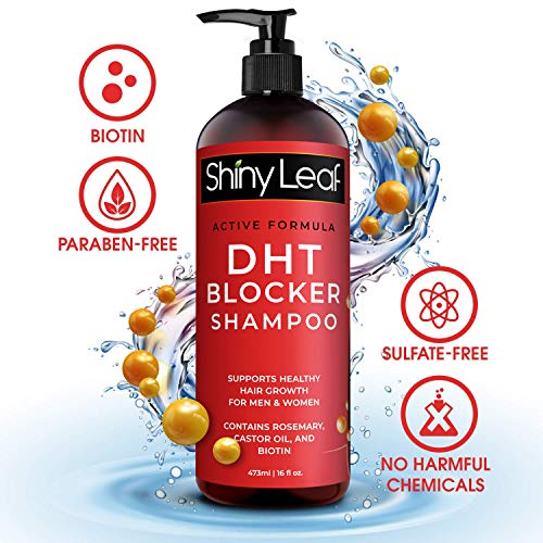 DHT Blocker Anti-Hair Loss Shampoo With Biotin, for Men & Women, Sulfate Free, Natural DHT Blocking Shampoo for Hair Growth, For Thinning Hair, Hair Fall and Hair Loss Prevention, Active Formula 16 Oz