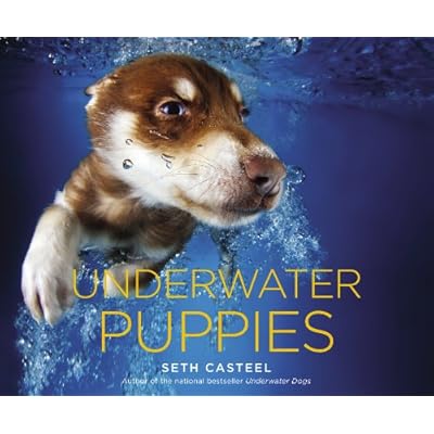Underwater Puppies Underwater Puppies