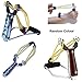 The Racheal Collections Professional Sling shot Set Wrist Rocket Slingshot Hunting Y Shot Slingshot With Heavy Duty Rubber Bands High Velocity Catapult