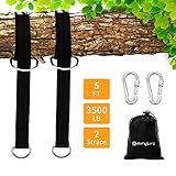 AIRYLIFE Tree Swing Hanging Straps Kit, Holds 3500Lbs, 5Ft Long Hanging Straps x 2, 3" Inch Safer Lock Snap Carabiner Hooks x 2, Perfect for Hammocks, Tree Swing Sets, and Swing Ropes(Black)