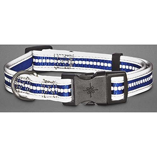 Good2Go Reflective Adjustable Dog Collar in Blue, Medium