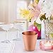Divlor Moscow Mule Copper Mugs - Hammered Finish with Solid Copper Handle, Set of 2 with One Shot Glass, 16-Ounce