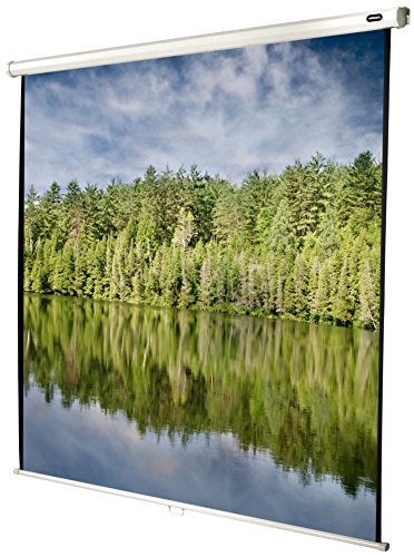 celexon-89-Manual-Economy-63-x-63-inches-viewing-area-11-format-Manual-Pull-Down-Wall-or-ceiling-mounting-Gain-10