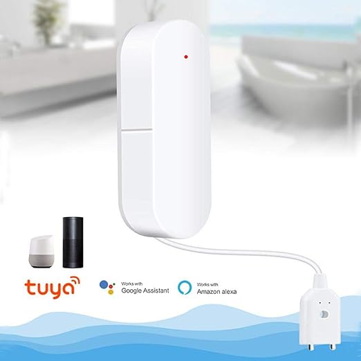 google home water sensor