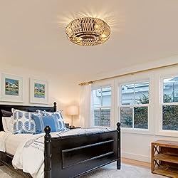 TSMKLEDAN 20" Woven Caged Ceiling Fans with Lights