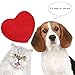 Area Rug Pad , Home Doormats,Bath Mat,Decor Mat,Bright Valentine Red Heart Love Shape , You Can Place this Carpet in Bathroom,Bedroom,Kitchen and Wedding ( 20'' x 24'' )