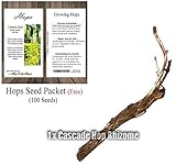 Cascade Hop Rhizome - Humulus lupulus - Hop Root Rhizome - By MySeeds.Co (1 x Cascade Rhizome)