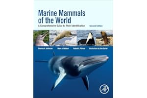 Marine Mammals of the World: A Comprehensive Guide to Their Identification