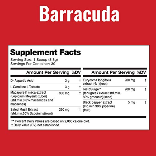 Barracuda
