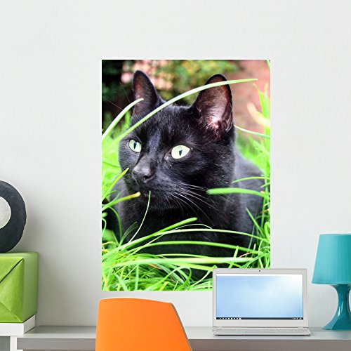 Wallmonkeys Black Cat Wall Decal Peel and Stick Graphic