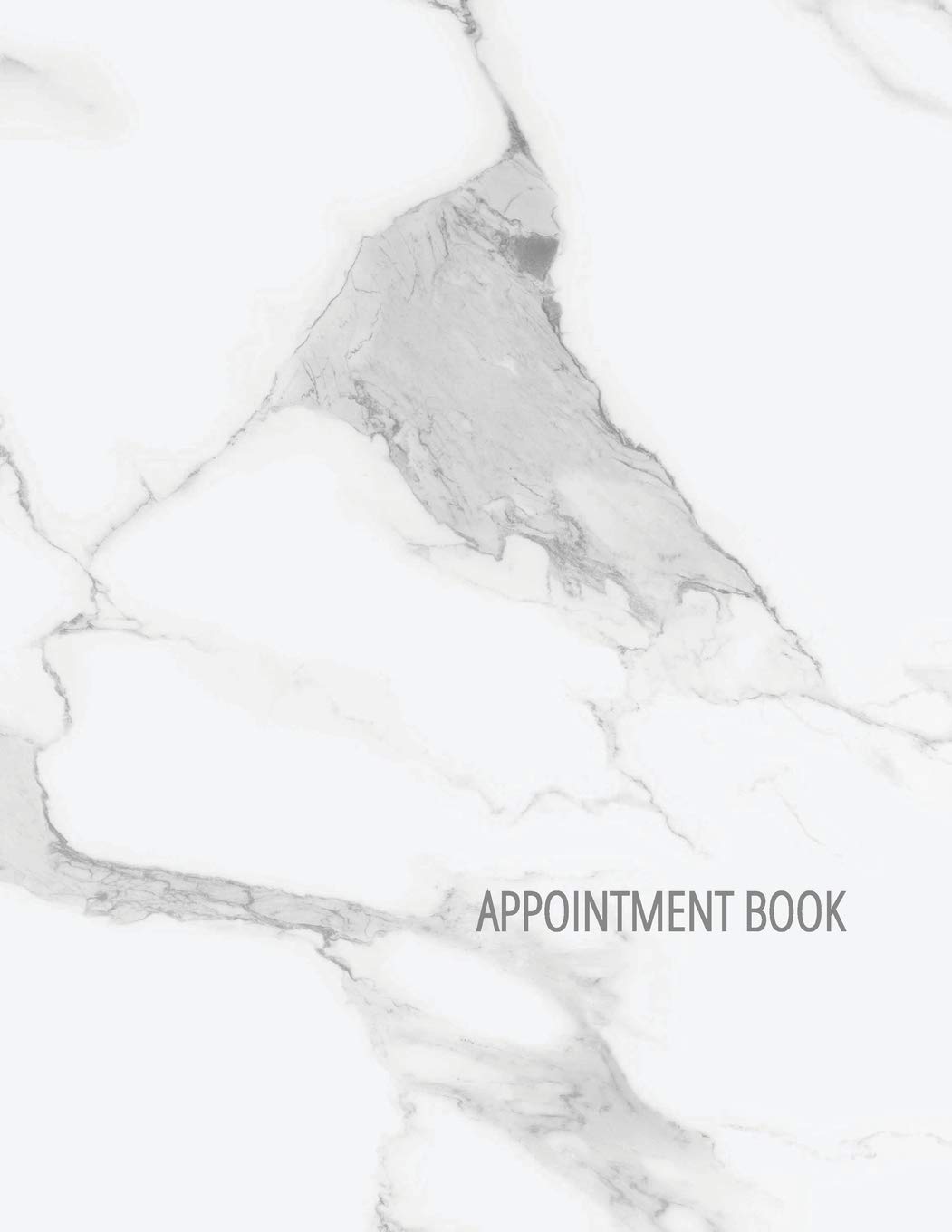 Amazon Com Appointment Book 5 Column Undated Appointment Planner