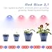 Litake LED Grow Light, 24W 6.6ft 5050 Waterproof Flexible Soft Strip Grow Light for Plant Flower Herbs Seeds Seedlings Growing Red Blue 3:1, Adapter with Hand Switch