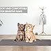 Babyltrl Extra Large Cat Litter Mat, XL Jumbo Size, 35