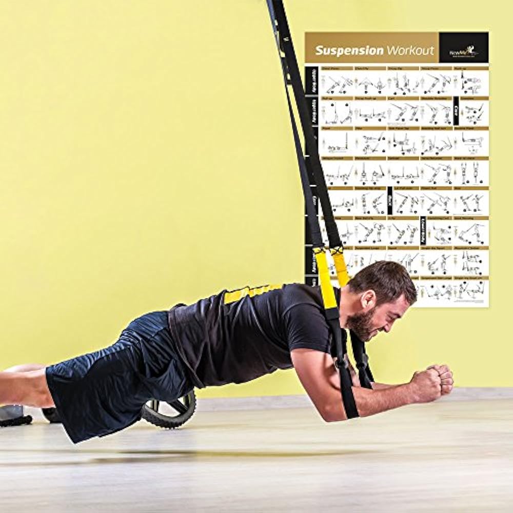Laminated Suspension Exercise Poster Strength Training Chart Build Muscle, Gym 780150971381 eBay