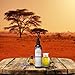 Shea Terra Organics Shea Nilotik’ Oil Scented With South African Lavender | Natural Daily Skin Moisturizer & Conditioner - 8 oz