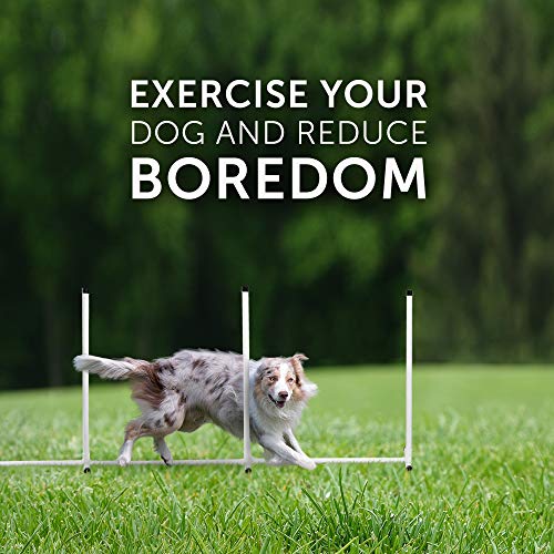Better Sporting Dogs Deluxe Agility Equipment Set | 3 Jumps | 2 Tunnels | Weave Poles | Pause Box