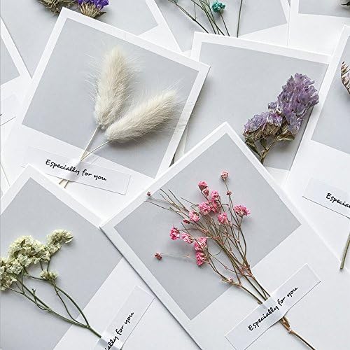 Greeting Cards Assortment Blank Thank You Card Dry Flower 10pcs Wish Cards for Wedding Birthday Note