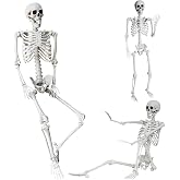 Wocst 5.4Ft/165cm Halloween Skeleton Full Body Life Size Human Bones with Movable Joints for Indoor Outdoor Halloween Props Decorations