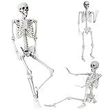 Wocst 5.4Ft/165cm Halloween Skeleton Full Body Life