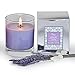 Manu Home Calm Lavender Scented Aromatherapy Candle ~ Made Aromatherapy Oils for Relaxation ~ Natural Wax Blend ~ Unique and Amazing Smelling Spa Candles ~ 4.5 oz Made in USA.