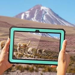 Case for 11inch Tablet
