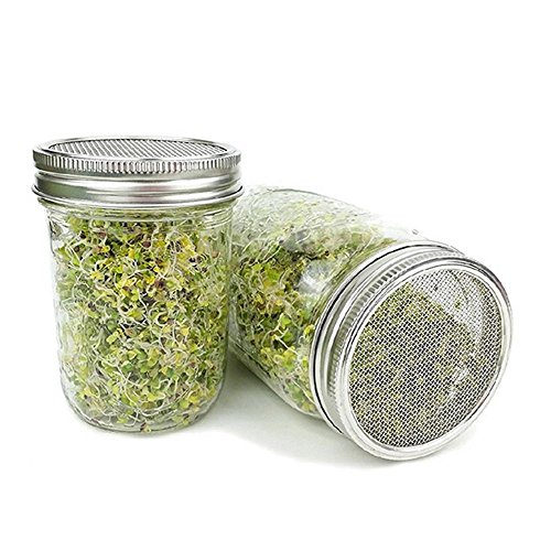 KOBWA Set of 4 Stainless Steel Sprouting Jar Lid Kit, Curved Mesh Jar