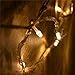 Outdoor LED String Lights 328FT 500LEDs - Lampwin 2017 New Design Warm White Fairy LED Starry String Lights for Christmas, Party, Home, Patio, Garden, Holiday, and Wedding Decoration