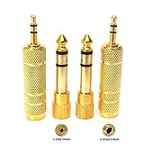 SiYear 3.5mm 1/8 inch TRS Plug to 6.35mm 1/4 inch Jack and 3.5mm Female to 6.35 Male Plug Gold Plated Set Audio Stereo Adapter Converter for Headphone, Microphone (4 -Pack)