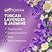 Clorox Scentiva Disinfecting Spray, Lavender & Jasmine, 32 Fl Oz, Pack of 6 (Pack May Vary)