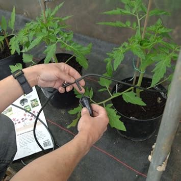 Iriso Bewässerungsset - für die Bewässerung von 12 Pflanzen