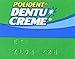 Polident Dentu Creme - 3.9 oz